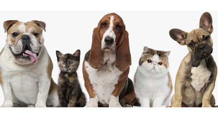 Veterinario Clínica Veterinaria Amigos