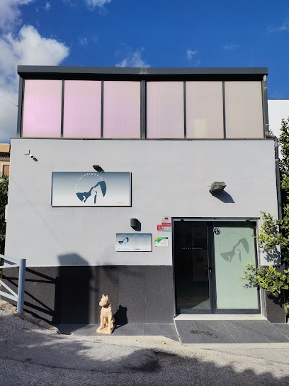 Clínica Veterinaria Ana Morales Loriguillo 1 Veterinario Clínica Veterinaria Ana Morales Loriguillo