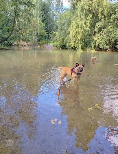 Veterinario Clínica Veterinaria Ana Vet