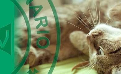 Veterinario Clínica Veterinaria Ardila - Santiponce