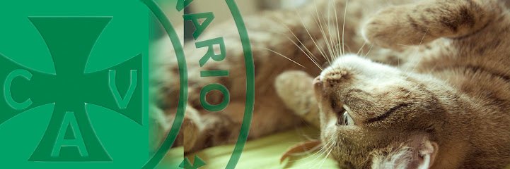 Veterinario Clínica Veterinaria Ardila - Santiponce