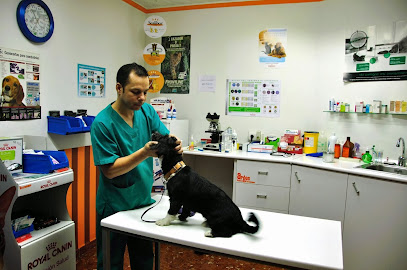 Clinica Veterinaria Argos 1 Veterinario Clinica Veterinaria Argos