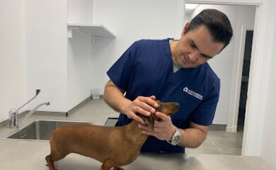 Veterinarios en Jerez de la Frontera 3 Veterinario Clínica Veterinaria Asta Regia