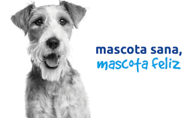 Veterinario Clínica Veterinaria Ávila Cádiz