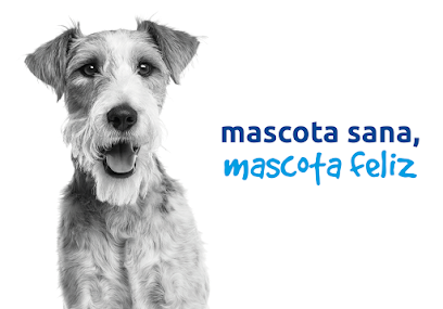 Veterinario Clínica Veterinaria Ávila Cádiz