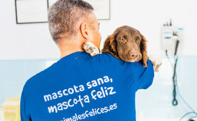 Veterinario Clínica Veterinaria Ávila Chiclana