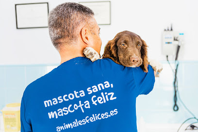 Clínica Veterinaria Ávila Chiclana 1 Veterinario Clínica Veterinaria Ávila Chiclana