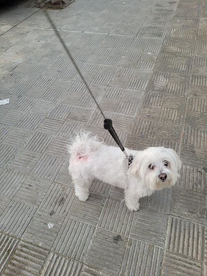 Veterinario Clinica Veterinaria Benacazón