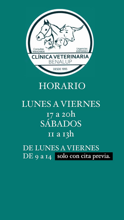 Clinica Veterinaria Benalup 1 Veterinario Clinica Veterinaria Benalup