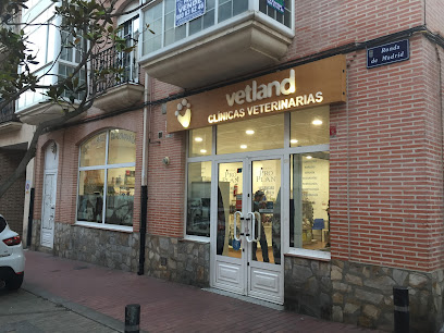Clínica Veterinaria Benavente 1 Veterinario Clínica Veterinaria Benavente