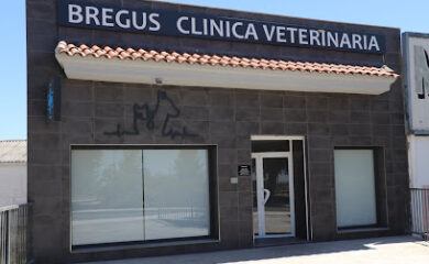 Veterinario Clínica Veterinaria Bregus
