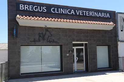 Clínica Veterinaria Bregus 1 Veterinario Clínica Veterinaria Bregus