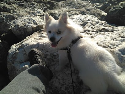 Veterinario Clinica Veterinaria Caballero