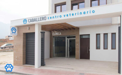 Veterinario Clínica Veterinaria Caballero