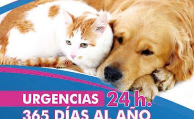 Veterinario Clínica Veterinaria Calderón