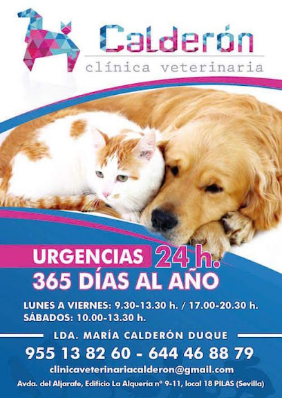 Clínica Veterinaria Calderón 1 Veterinario Clínica Veterinaria Calderón