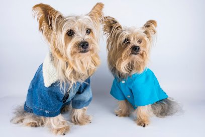 Veterinario Clinica Veterinaria Campos