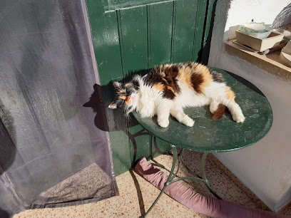 Veterinario Clínica Veterinaria Cardona & von Hofe, S.C.P.