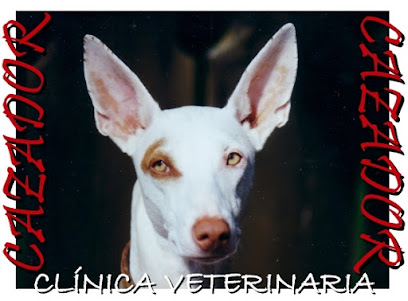 Clínica Veterinaria Cazador 1 Veterinario Clínica Veterinaria Cazador