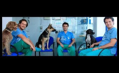 Veterinario Clínica Veterinaria Clinican
