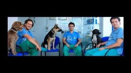 Veterinario Clínica Veterinaria Clinican