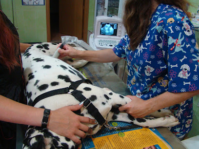 Clínica Veterinaria Cliveal 1 Veterinario Clínica Veterinaria Cliveal