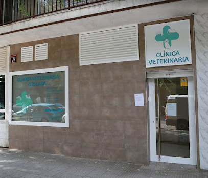 Clínica Veterinaria Coslada 1 Veterinario Clínica Veterinaria Coslada