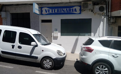 Veterinario Clínica Veterinaria Cristo De Las Batallas