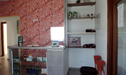Clínica Veterinaria DeLi 1 Veterinario Clínica Veterinaria DeLi