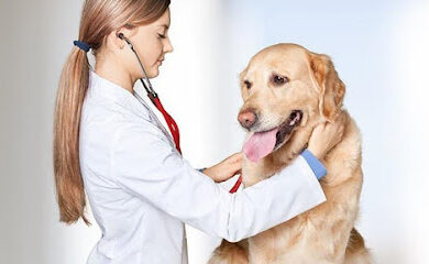 Veterinario Clínica Veterinaria Delta