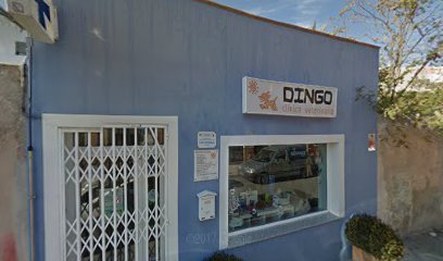Clinica Veterinaria Dingo 1 Veterinario Clinica Veterinaria Dingo