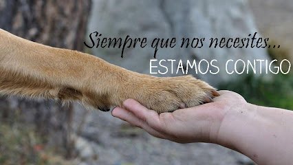 Veterinario Clínica Veterinaria Doble Dog