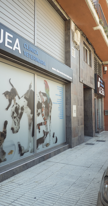 Clínica Veterinaria Ejea 1 Veterinario Clínica Veterinaria Ejea