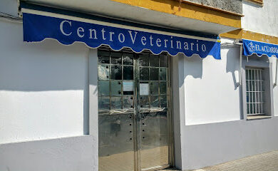 Veterinario Clinica Veterinaria El Acuario SLP