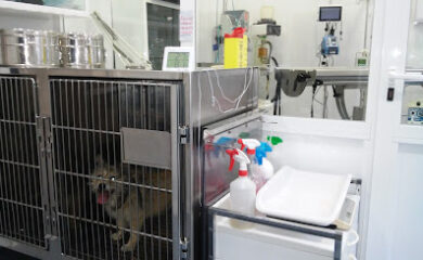 Veterinario Clínica Veterinaria El Arca