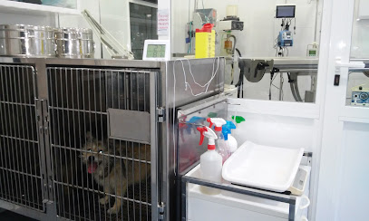 Clínica Veterinaria El Arca 1 Veterinario Clínica Veterinaria El Arca