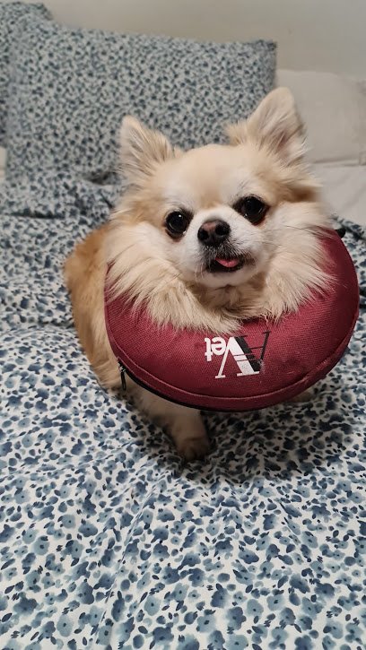 Veterinario Clínica Veterinaria El Caudal