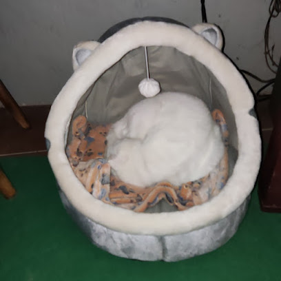 Clínica Veterinaria El León Dormido 1 Veterinario Clínica Veterinaria El León Dormido