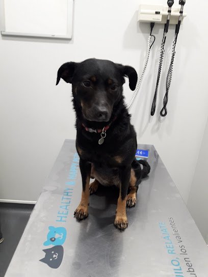 Veterinario Clínica Veterinaria El Llano