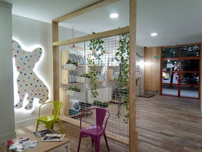 Veterinario Clínica Veterinaria Elena Sáenz