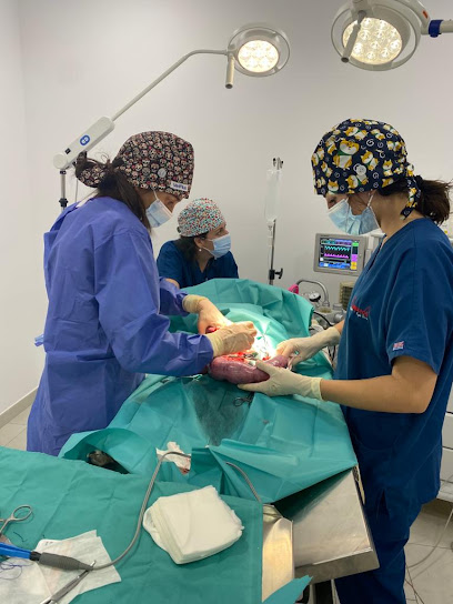 Veterinario Clínica Veterinària Empordà Vergés Serra