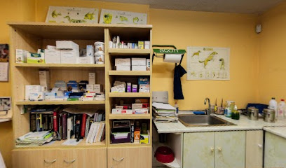 Clinica Veterinaria Ermua 1 Veterinario Clinica Veterinaria Ermua