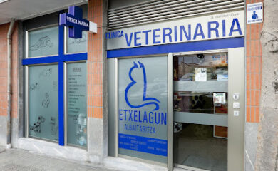 Veterinario Clínica Veterinaria Etxelagun