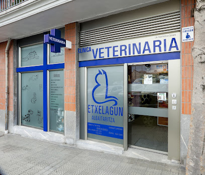 Clínica Veterinaria Etxelagun 1 Veterinario Clínica Veterinaria Etxelagun