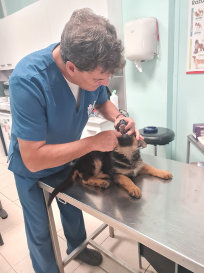 Clinica Veterinaria Eudog 1 Veterinario Clinica Veterinaria Eudog