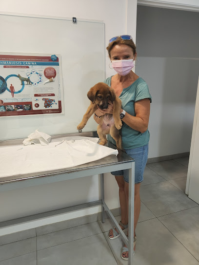 Veterinario Clínica Veterinaria Fauna Granada
