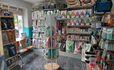 Veterinarios en Murcia 5 Veterinario Clinica Veterinaria Floridablanca