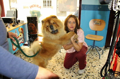 Clínica Veterinaria Géminis 1 Veterinario Clínica Veterinaria Géminis