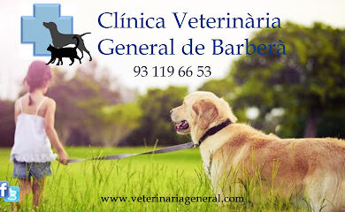 Veterinario Clínica Veterinària General de Barberà (Veterinario)