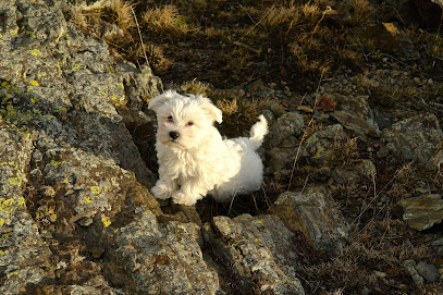 Clínica Veterinària Godall 1 Veterinario Clínica Veterinària Godall